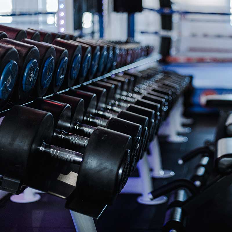 UK Shaolin Gym Dumbbell